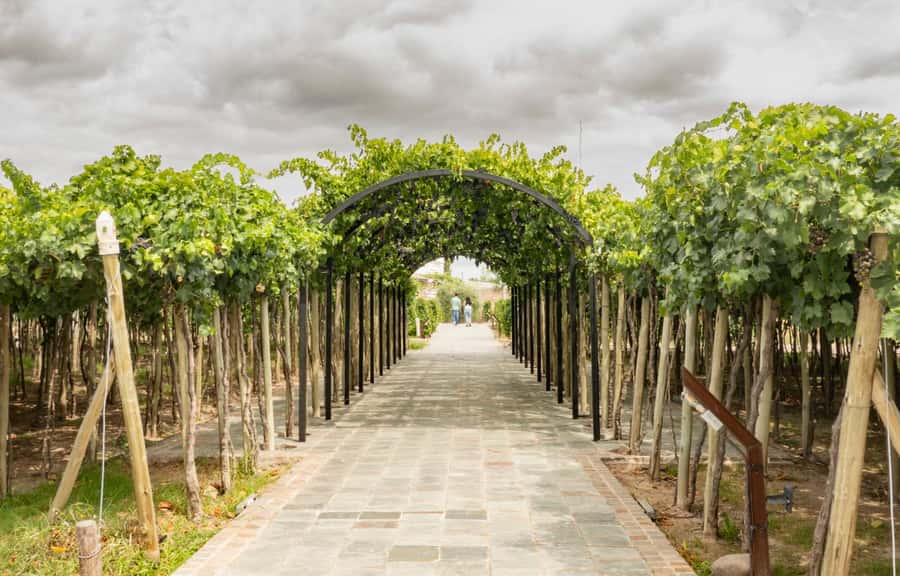 Mendoza: El Enemigo and Casa Vigil Wine Tour - Three hours at Casa Vigil and El Enemigo