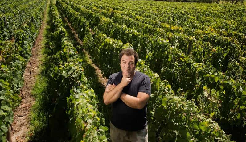 Mendoza: El Enemigo and Casa Vigil Wine Tour - Guide languages and the value of local context