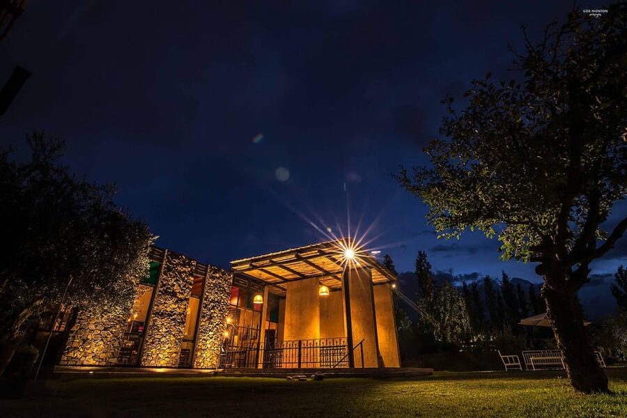 Mendoza: El Enemigo and Casa Vigil Wine Tour - What the timing means for your Mendoza plans