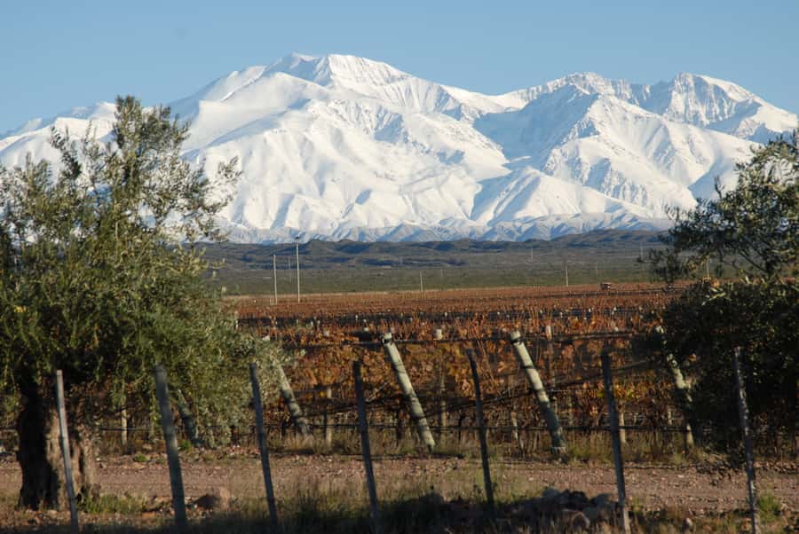 Mendoza: Full Day Wine Tour with 3 Course Lunch - Key points at a glance
