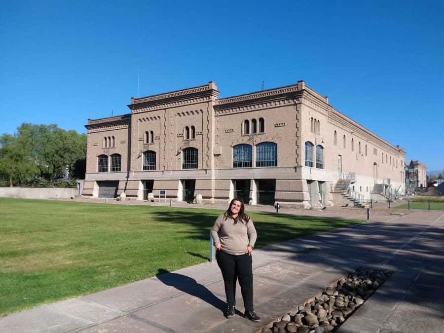 Mendoza: Full Day Wine Tour with 3 Course Lunch - The drive from Mendoza into wine country