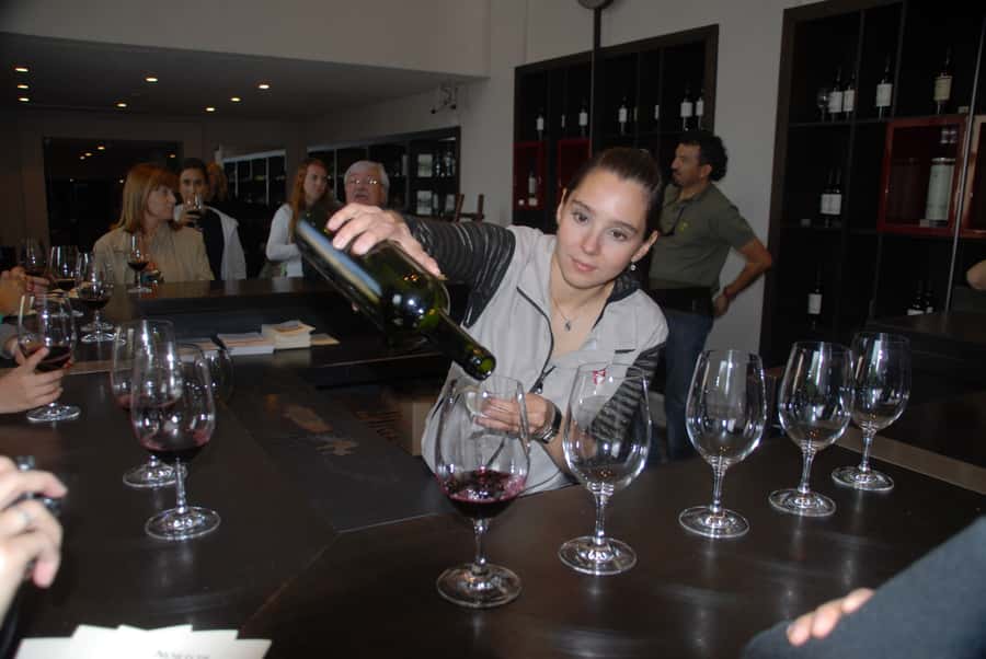 Mendoza: Full Day Wine Tour with 3 Course Lunch - Is $153 a fair price?