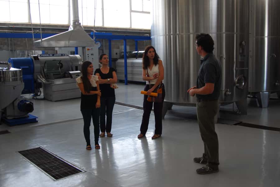 Mendoza: Full Day Wine Tour with 3 Course Lunch - Who will enjoy this Mendoza wine tour most?