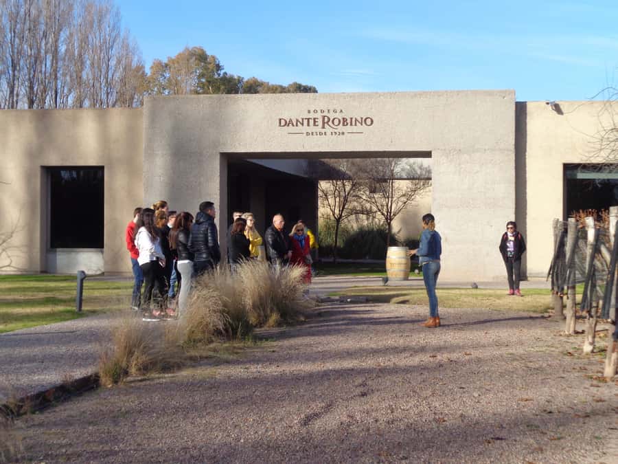 Mendoza: Half-Day Wine Tour with Tastings - Key points at a glance