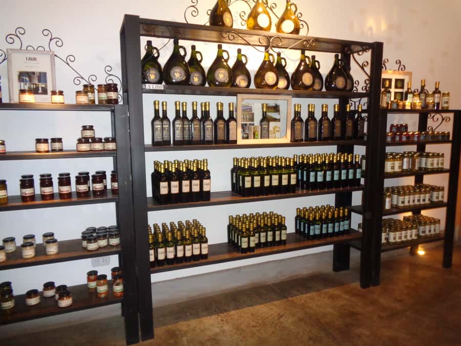 Mendoza: Half-Day Wine Tour with Tastings - Why this half-day tour works well in Mendoza