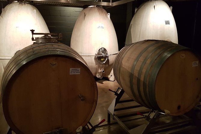 Mendoza Hop-On Hop-Off Wine Tour - Key points to know before booking