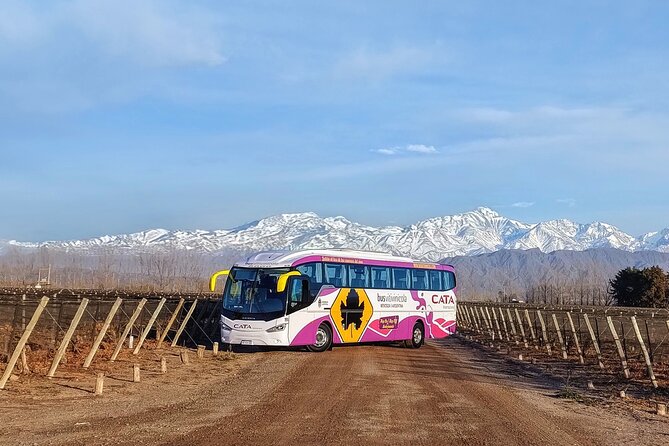 Mendoza Hop-On Hop-Off Wine Tour - Winery fees change the real cost