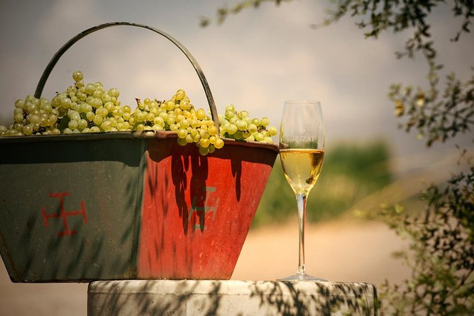 Mendoza Hop-On Hop-Off Wine Tour - Who will get the most from this tour