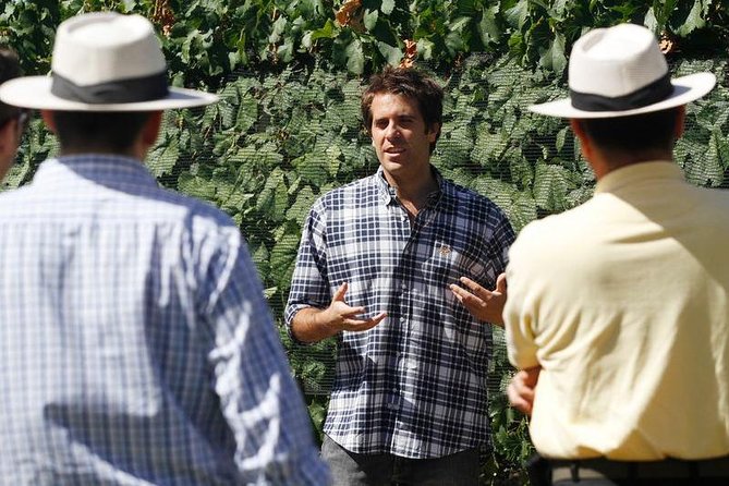 Mendoza Hop-On Hop-Off Wine Tour - Choosing between Maipú, El Sol, Luján, and Uco Valley