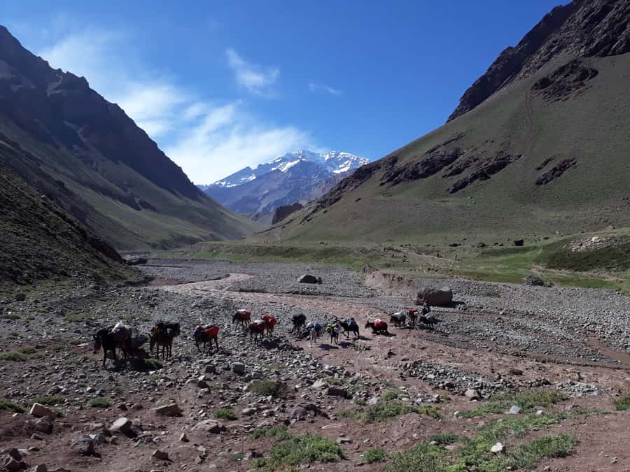 Mendoza: Mt. Aconcagua Confluencia Camp Trekking - The early pickup from Mendoza