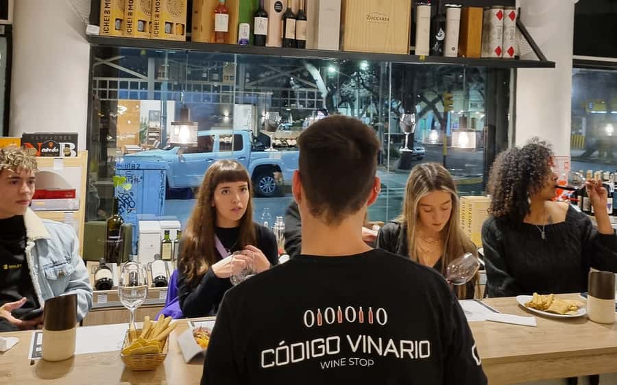 Mendoza: Premium Wine Tasting - From First Sip to Final Red