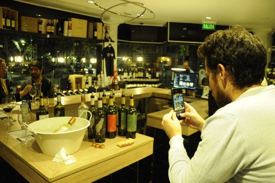 Mendoza: Premium Wine Tasting - Price, Flexibility, and Practical Details