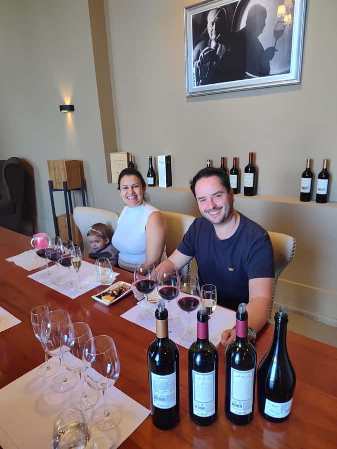 Mendoza's top wineries ! All Inclusive Private Tours! - Key points to know before booking