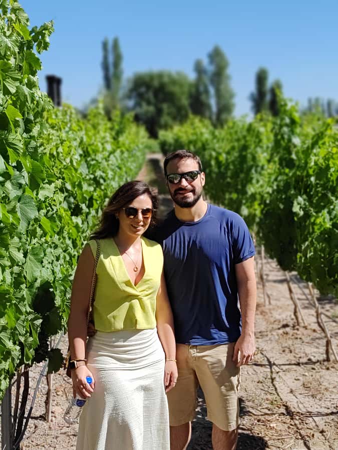 Mendoza's top wineries ! All Inclusive Private Tours! - A full Mendoza wine day, without the bus crowd