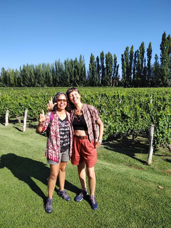 Mendoza's top wineries ! All Inclusive Private Tours! - The Andes views are part of the experience