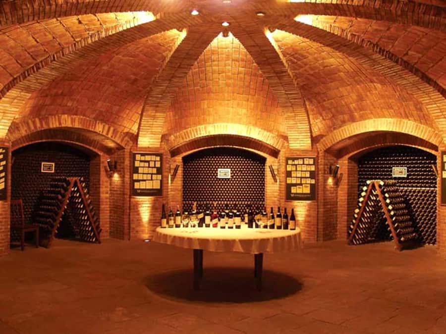 Mendoza: Small-Group Wineries Tour with Tasting and Lunch - Key points to know before booking