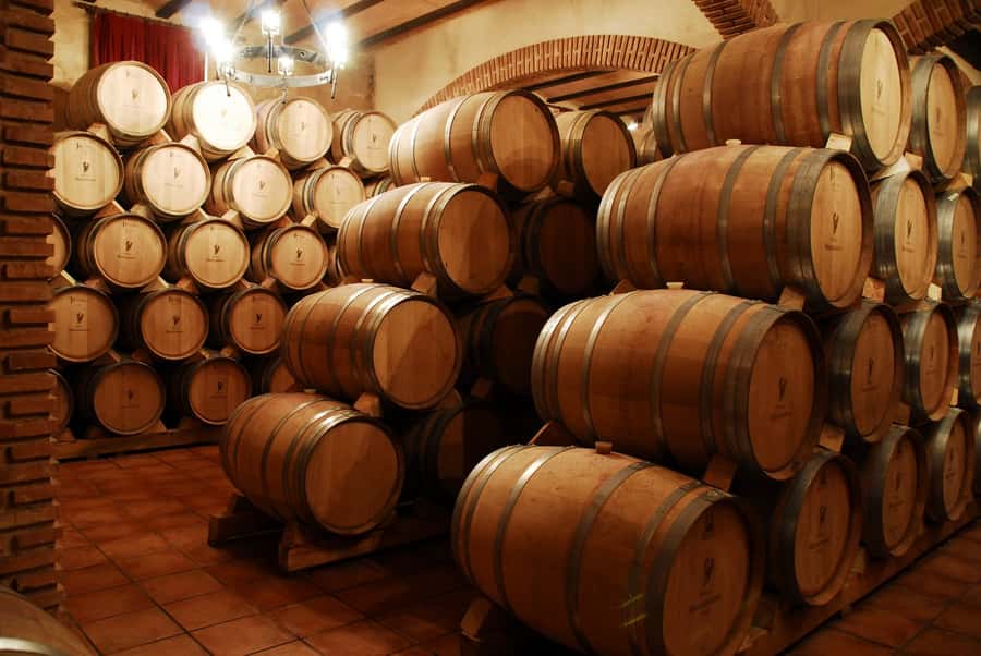 Mendoza: Small-Group Wineries Tour with Tasting and Lunch - First winery: vineyards, cellars, and production methods