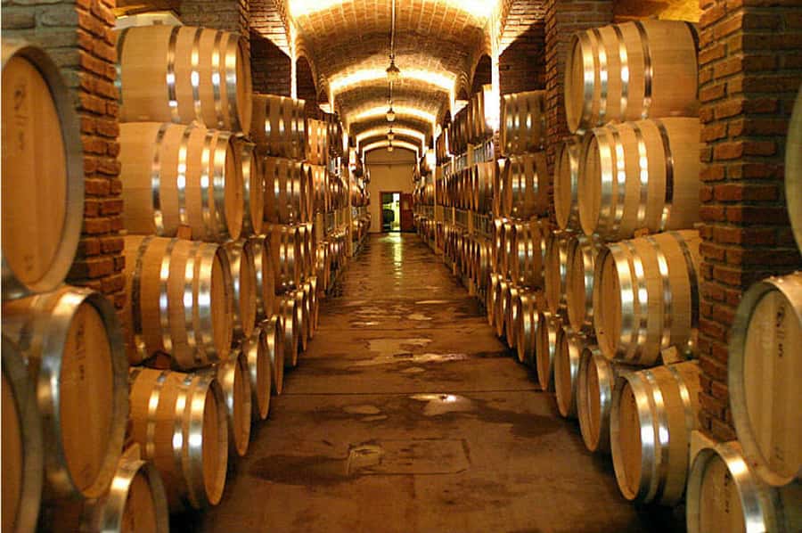 Mendoza: Small-Group Wineries Tour with Tasting and Lunch - Lunch and the important price question