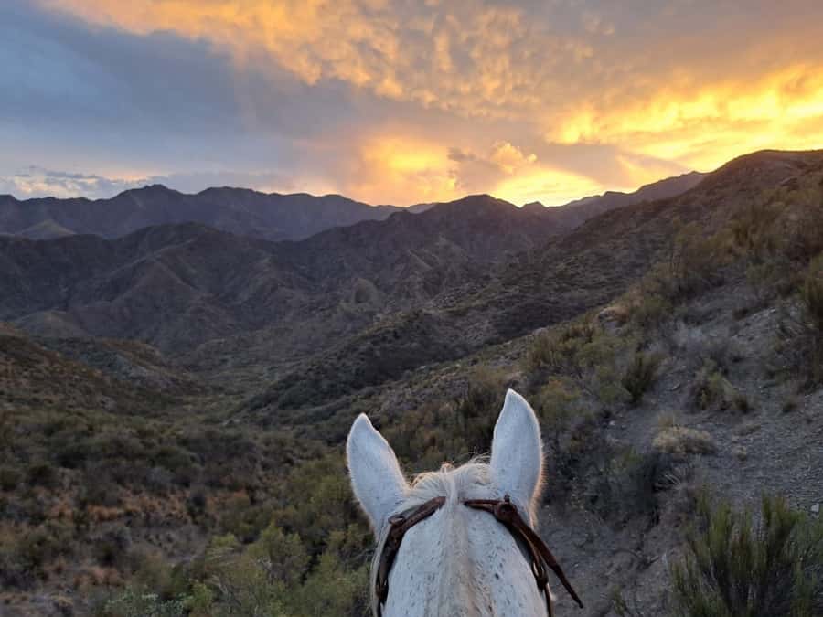 Mendoza: Sunset Horse Back Riding in the Mountains and BBQ - Why This Mendoza Horse Ride Feels Different