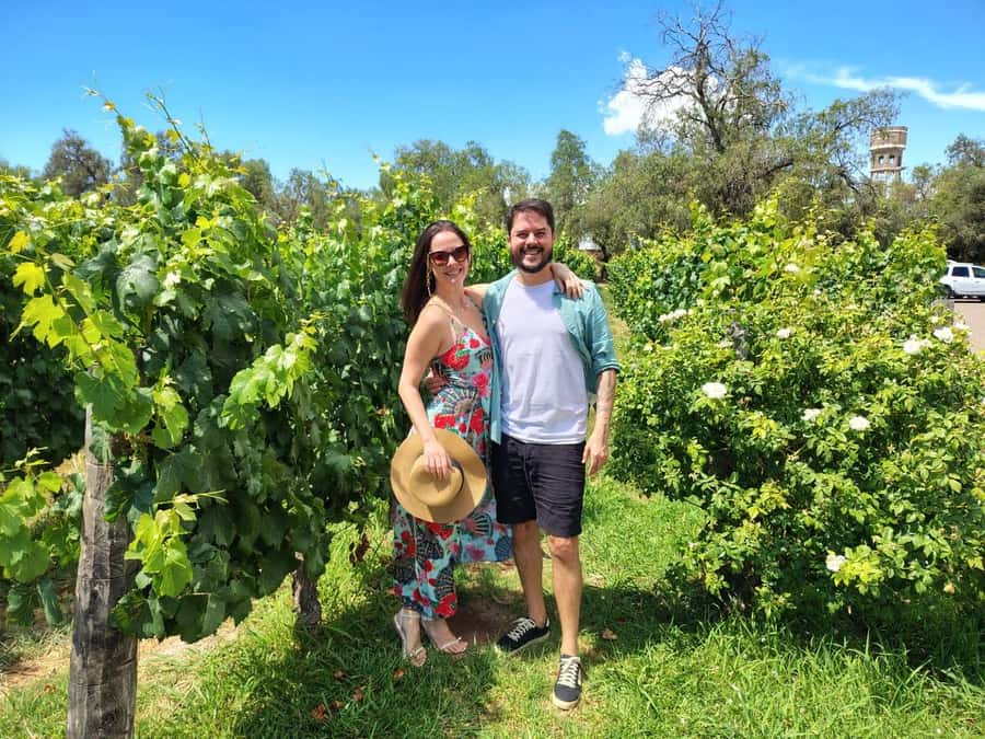 Mendoza: Top Wineries Guided Tour with Transportation - Choosing between Luján de Cuyo and the Uco Valley