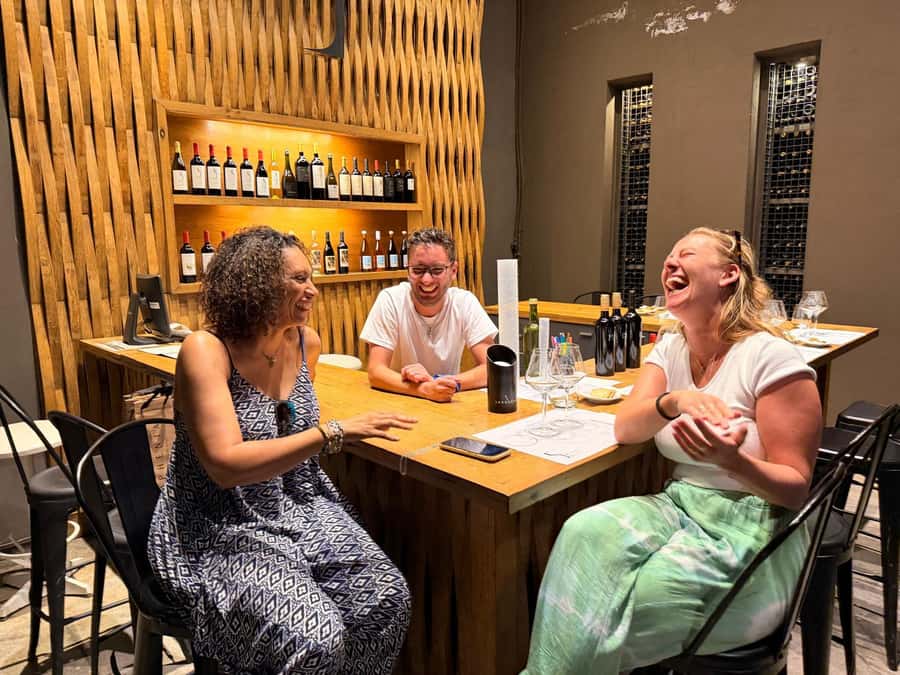 Mendoza: Top Wineries Guided Tour with Transportation - The guide and vehicle make the long day work