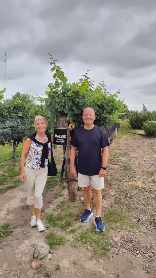 Mendoza: Top Wineries Guided Tour with Transportation - First stop: learn the basics before the wine catches up