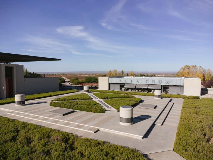 Mendoza: Tour with tasting and lunch High Altitude Wineries - Alfa Crux and the six-course lunch