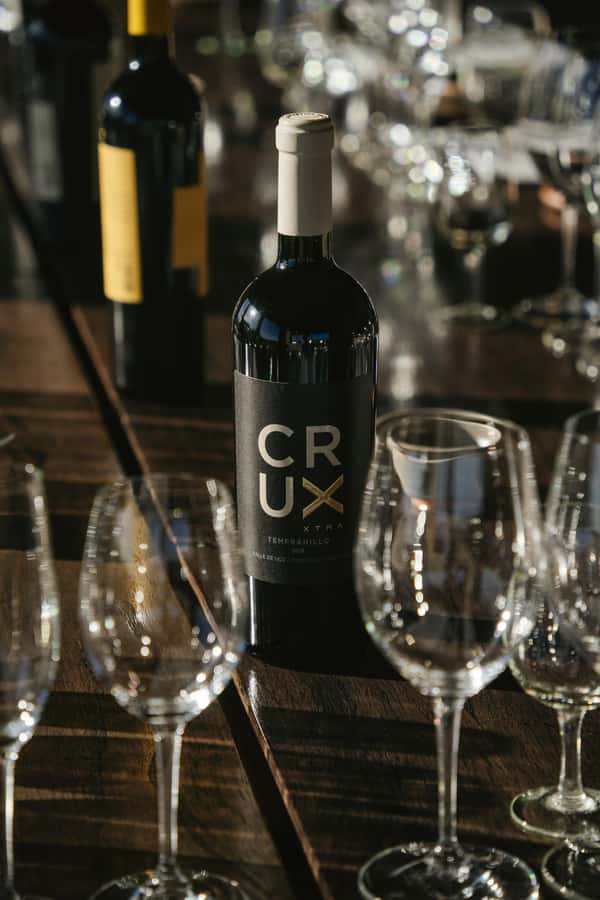 Mendoza: Tour with tasting and lunch High Altitude Wineries - Is $415 per person fair value?