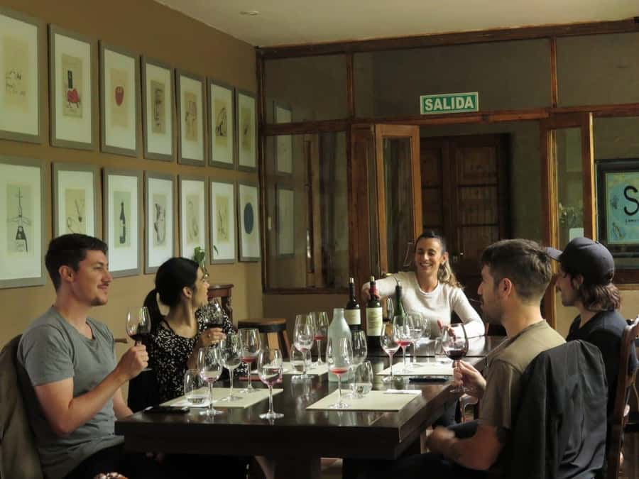 Mendoza: Wine Tasting Tour with Lunch and Private Transport - A private wine day in Mendoza’s Maipú country