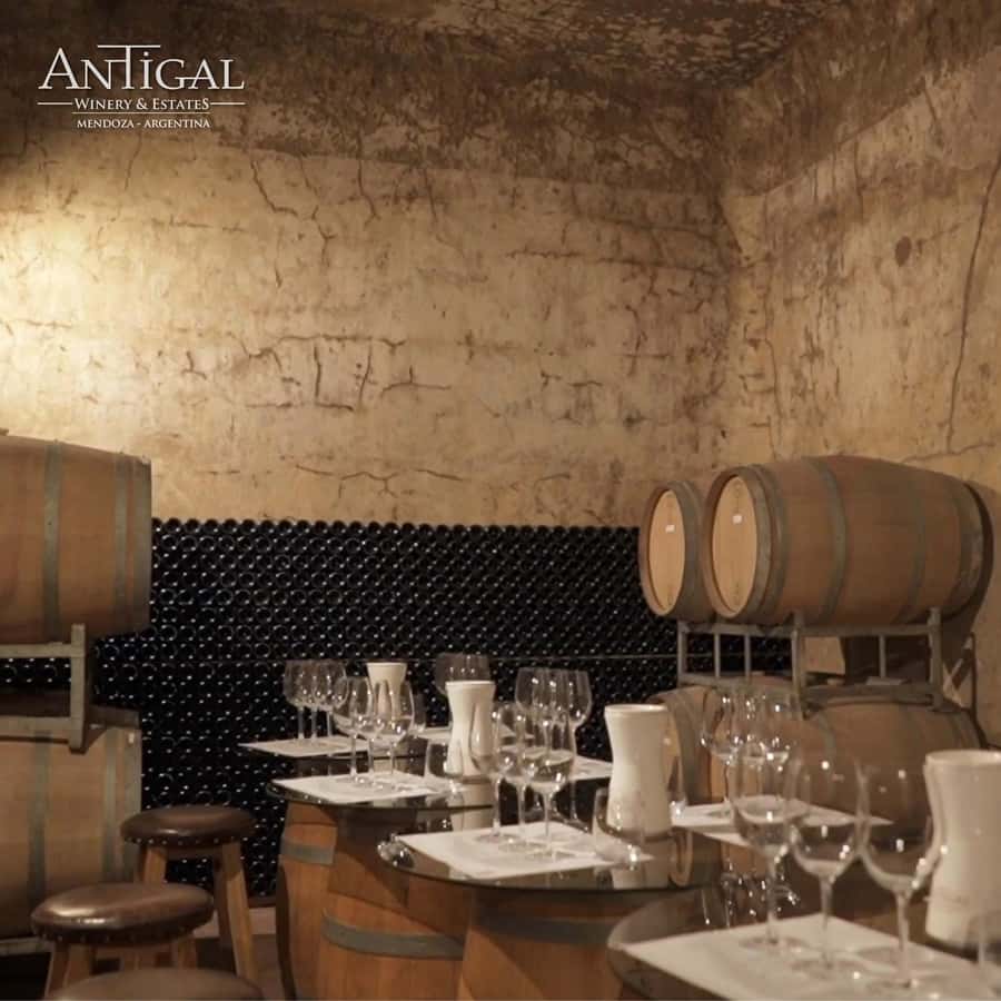 Mendoza: Wine Tasting Tour with Lunch and Private Transport - The second winery brings a different point of view