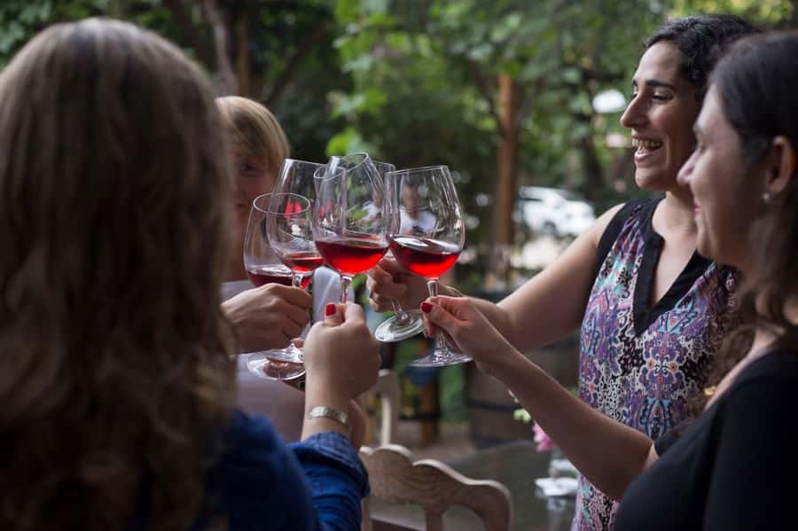 Mendoza: Wine Tasting Tour with Lunch and Private Transport - Lunch at a third winery takes two and a half hours