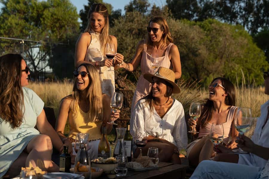 Mendoza: Wine Tasting Tour with Lunch and Private Transport - Andes views add more than a photo stop