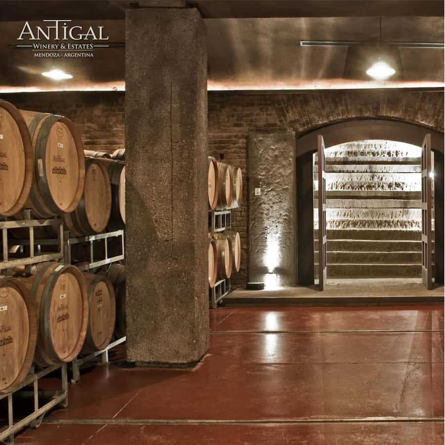 Mendoza: Wine Tasting Tour with Lunch and Private Transport - What the $220 price really covers