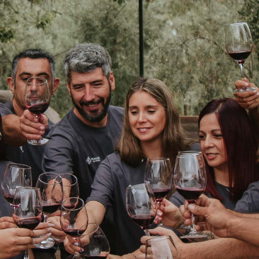 Mendoza: Wine Tasting Tour with Lunch and Private Transport - The first tasting: vineyards, cellars, and Argentine wine