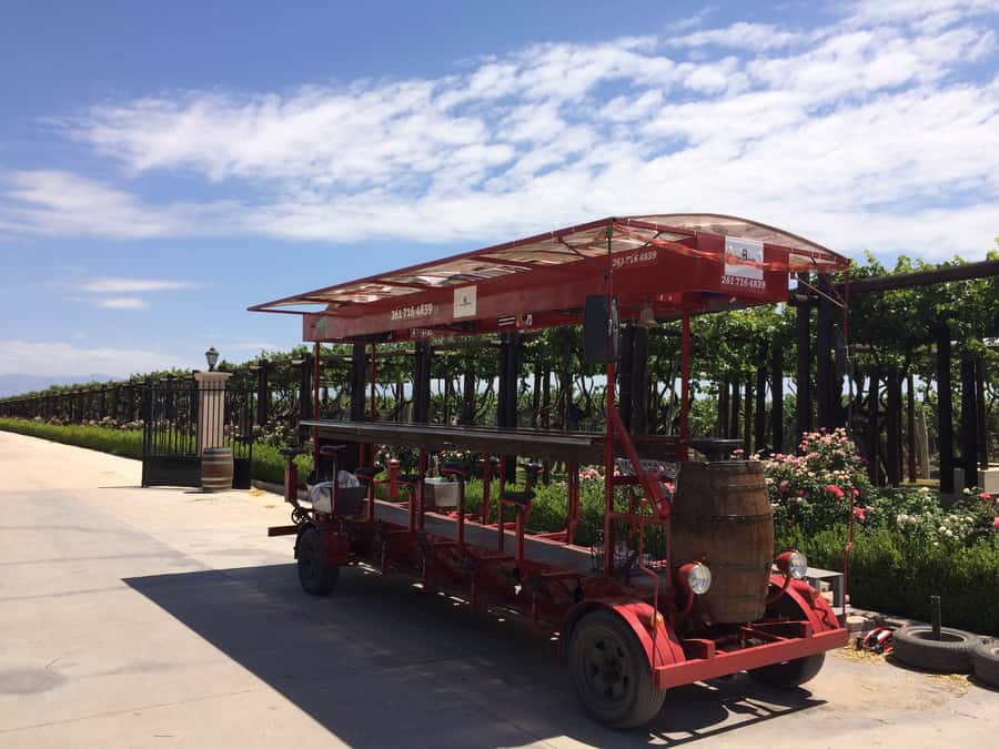 Mendoza: Winebike Tasting Tour with Optional Lunch - The multi-bike ride turns transport into entertainment
