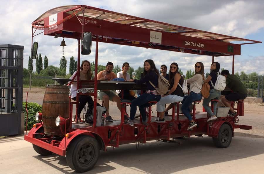 Mendoza: Winebike Tasting Tour with Optional Lunch - La Melessca adds olive oil and balsamic vinegar