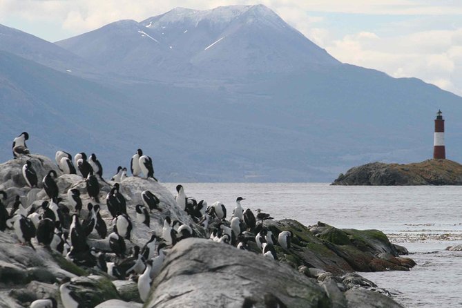 Navigate through the Beagle Channel: Seal, Bird & Penguin Islands - Les Eclaireurs Lighthouse is smaller than the pictures suggest