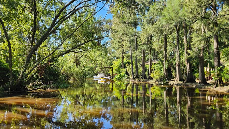 Navigation in Delta of Tigre - Exclusive semi private tour - Entering the delta by small speedboat