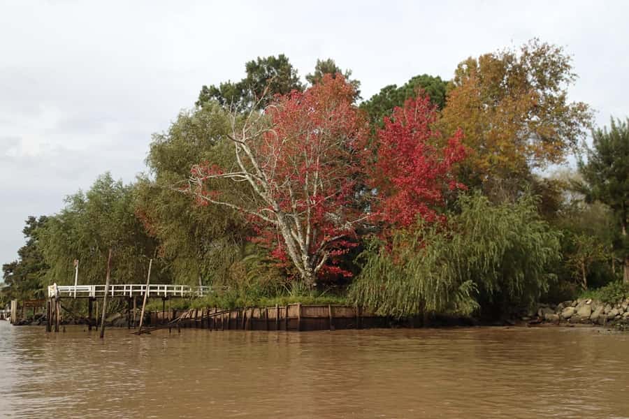Navigation in Delta of Tigre - Exclusive semi private tour - A cookie, water, and the option to swim