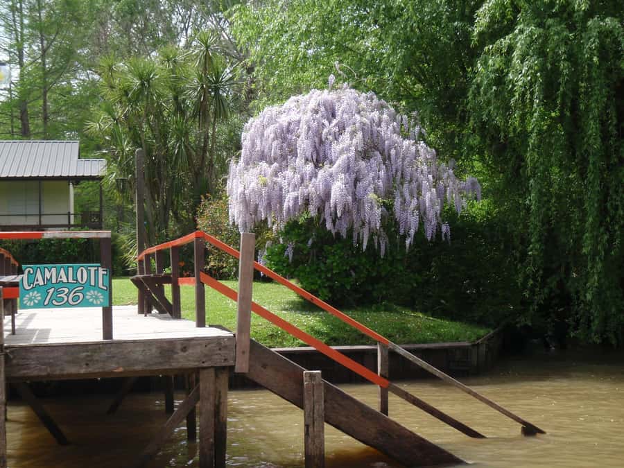 Navigation in Delta of Tigre - Exclusive semi private tour - How the $135 price measures up
