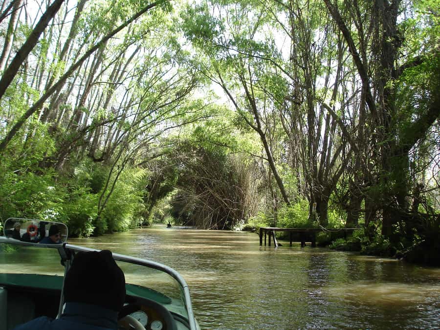 Navigation in Delta of Tigre - Exclusive semi private tour - The ride from Buenos Aires to Tigre