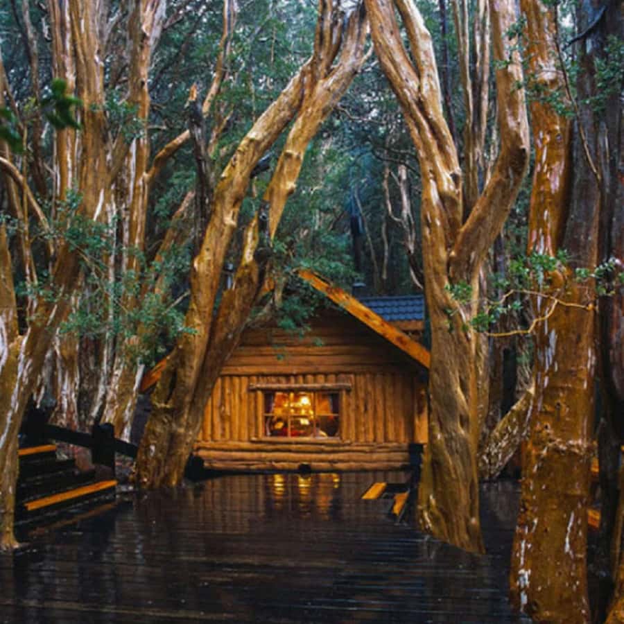 Navigation through Isla Victoria and Bosque de Arrayanes - Why Victoria Island and the Arrayanes Forest work well together