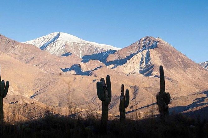 One Day Tour of Cachi and Calchaquí Valleys from Salta - Leaving Salta at 6:30 am