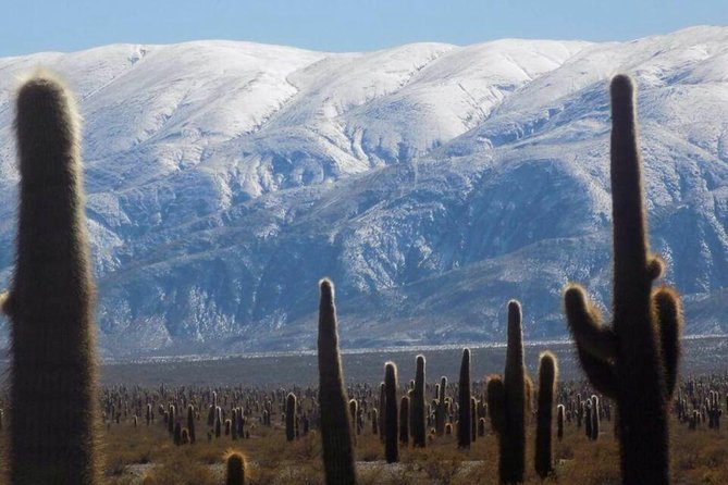 One Day Tour of Cachi and Calchaquí Valleys from Salta - Iglesia de San Jose and the first views