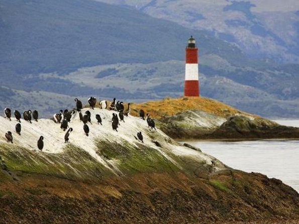 Penguin walk in Ushuaia + navigation option - Key points to know before booking