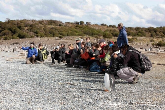 Penguin walk in Ushuaia + navigation option - Leaving Ushuaia for the Beagle Channel
