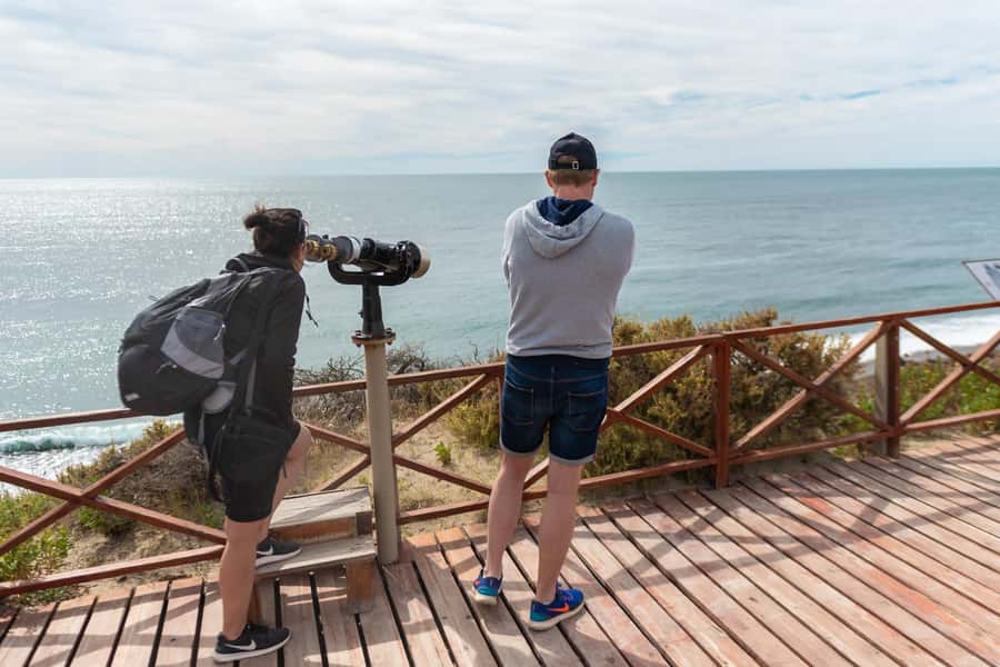 Peninsula Valdes Full Day Tour - Why Peninsula Valdés is worth the long day