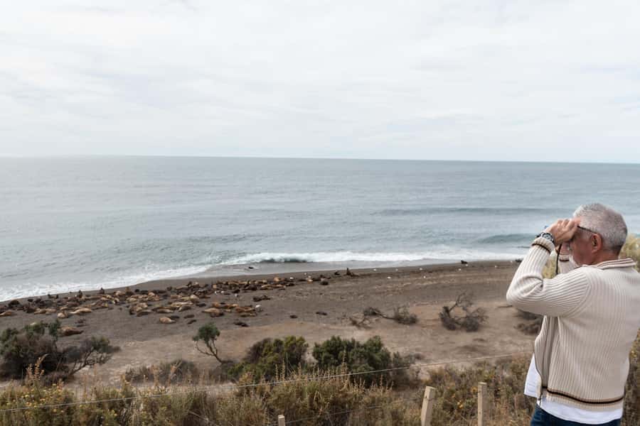 Peninsula Valdes Full Day Tour - Leaving Puerto Madryn for the protected area