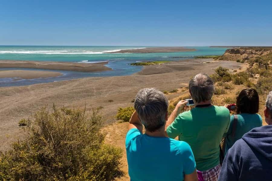 Peninsula Valdes Shore Tour for Cruise Passengers + City - Key points to know before booking