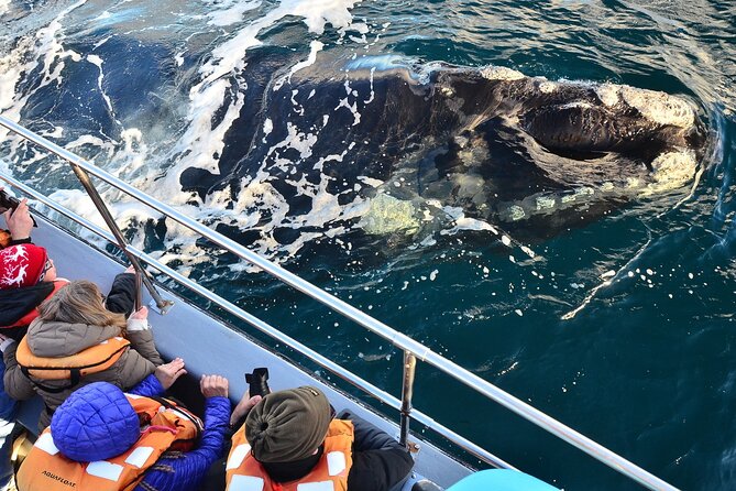 Peninsula Valdes Tour with Optional Whale Watching - Puerto Piramides and the optional whale boat